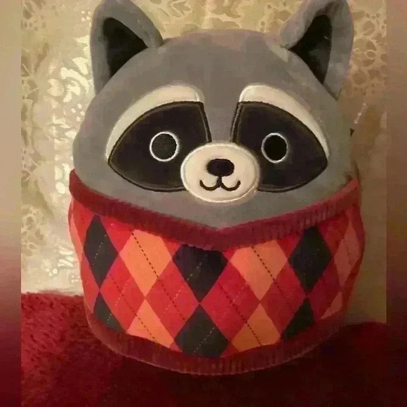 Squishmallow Rocky the Raccoon with sweater 8inch bundled with Hans Hedgehog - Picture 2 of 8